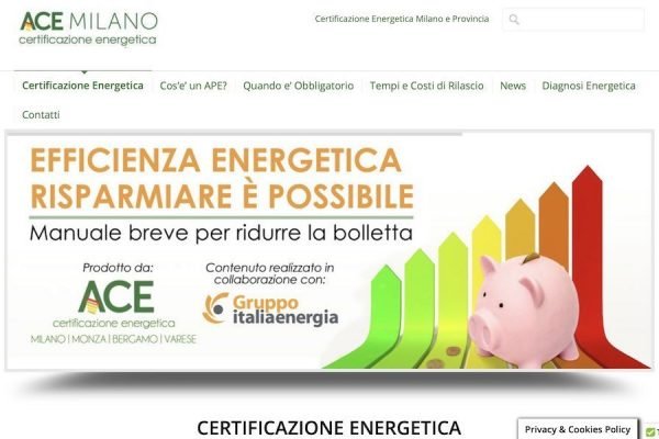 Ace Consulting